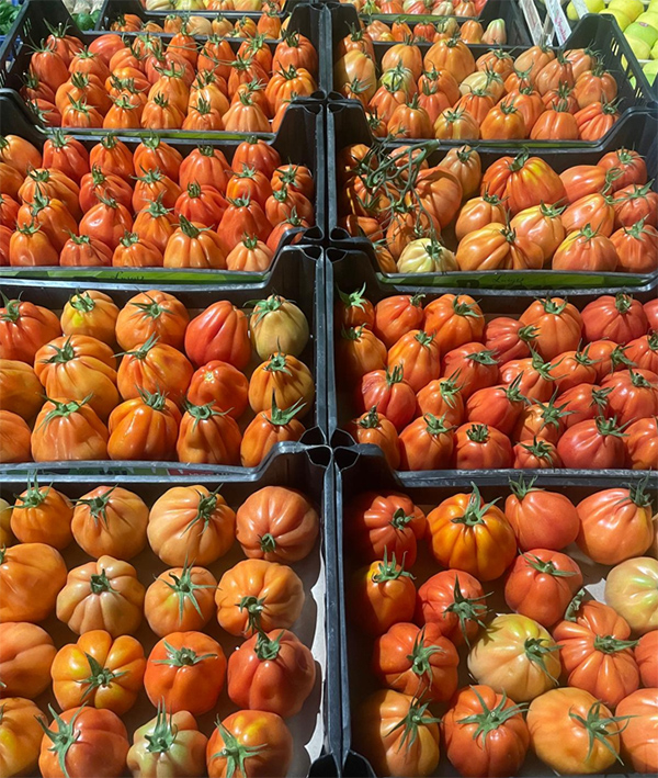 Pomodoro Cuore di bue - Piemonte - 1,50/1,70 euro al chilogrammo